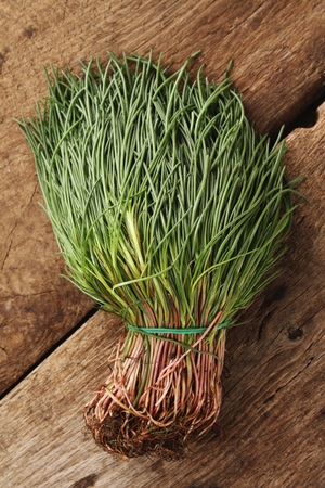 monks beard  Barbe dei Fratiの写真素材