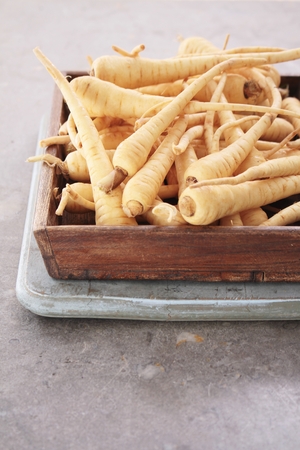 young parsnipsの写真素材