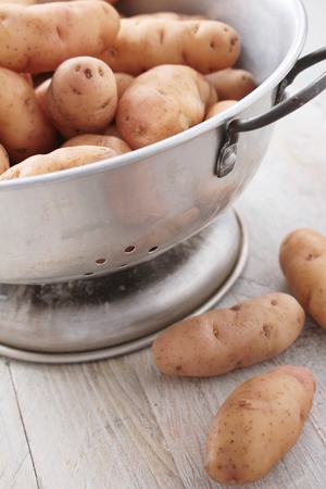 Pink fir apple potatoの写真素材