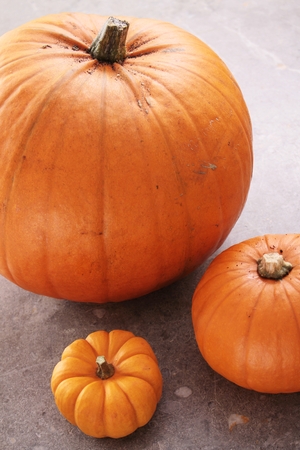 pumpkin selectionの写真素材
