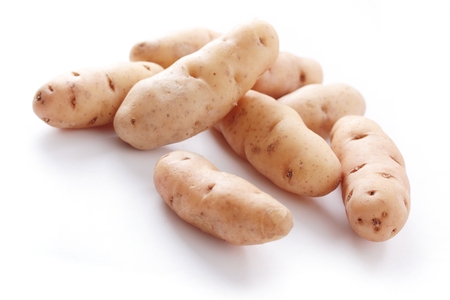Pink fir apple potatoの写真素材