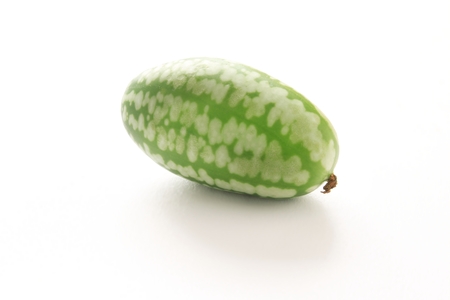 mini melumber supperfruitの写真素材