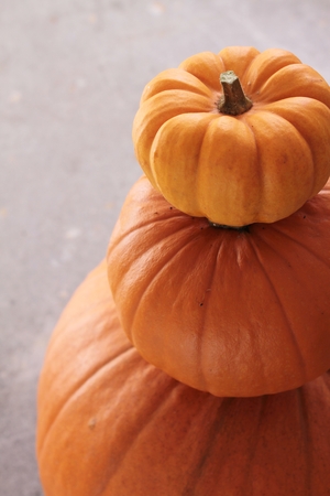 pumpkin selectionの写真素材