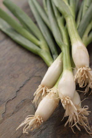 fresh spring onions on slateの写真素材