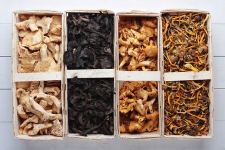 wild mushroomsの写真素材