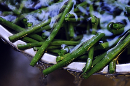seasonal vegetablesの写真素材