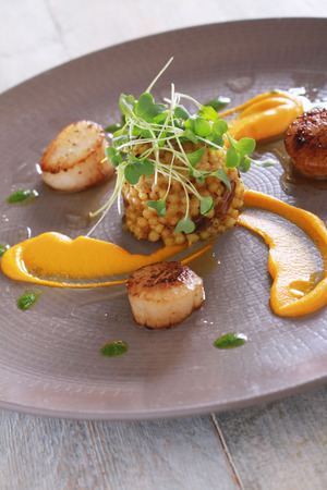 plated scallop appetizer meaの写真素材