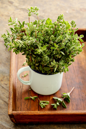 fresh herb marjoramの写真素材