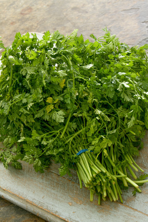 fresh chervil bunchの写真素材