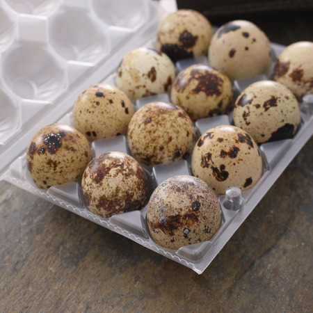 fresh quail eggsの写真素材