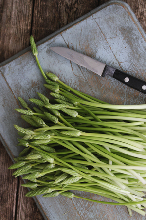 wild asparagusの写真素材