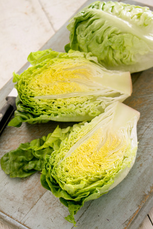 little gem cos lettuceの写真素材