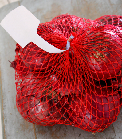 red onionの写真素材