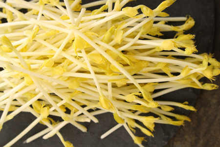 preparing baby sweet corn shootsの写真素材