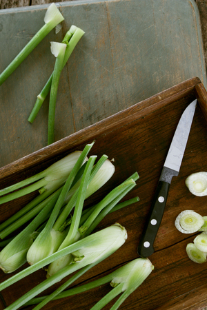 preparing micro fennel vegetableの写真素材