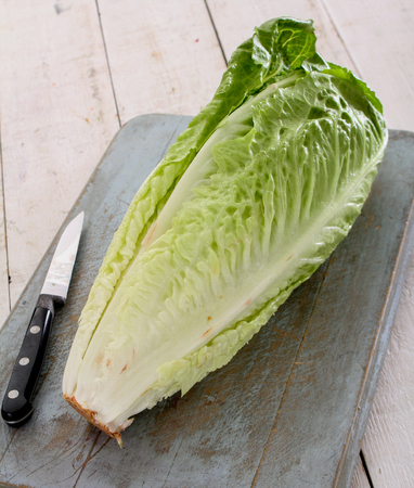 lettuce romaineの写真素材