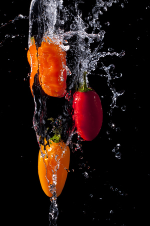 Spicy Peppers being splashed with water.の写真素材