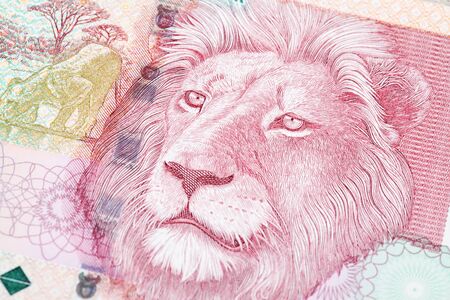 Fifty Rand South African Bank Note