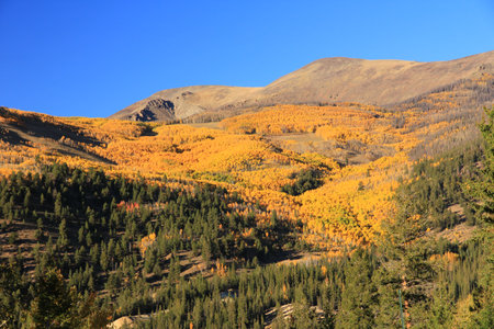 San Juan Mountains near Lake Cityの写真素材