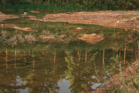 reflection of pine tree forest, sandy pond shore with grass in shallow gravel quarrie water. Evening...
