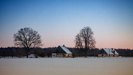 village houses in winter evening sunset light, snow covered field, some bare deciduous trees, purple...