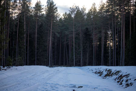 tire tracks in the snow, winter road, empty road in winter bends, covered with snow path, winter landscapeの写真素材