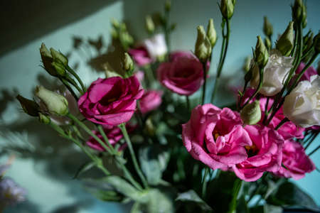 bouquet of dark red and white flowers and flower buds on green backgroundの写真素材