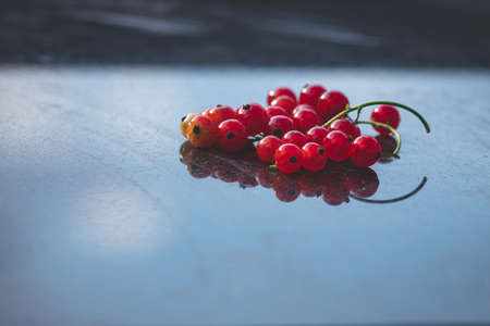 red currants on black granite background. reflection on polished granite surface. berries ready to...
