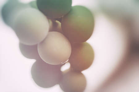 unripe grapes macro close upの写真素材