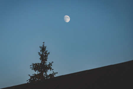 moon over the roofの写真素材