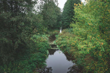 small river in Latvian forest, picture taken from bridge. water overgrown with aquatic flora, Many shades of green and some yellow. Early autumn landscape, cloudy grey skyの写真素材