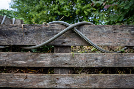 Old wooden pallet stands as a wall. Rubber water pipeの写真素材