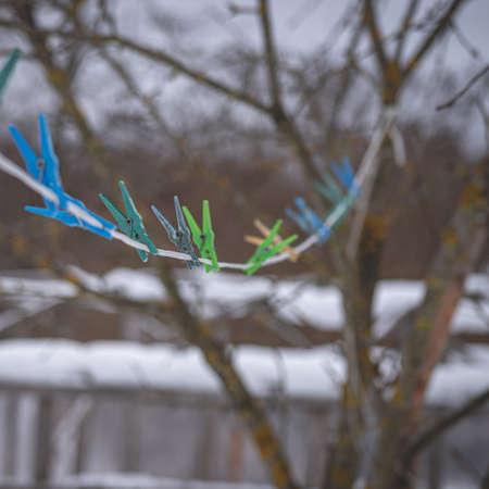 clothes pegs in winterの写真素材