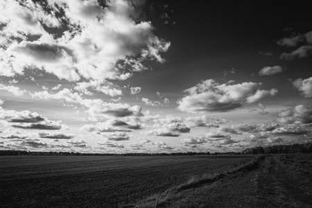 clouds over the field, country pathway or driveway, black and white cloudscape in Latvia countryside...