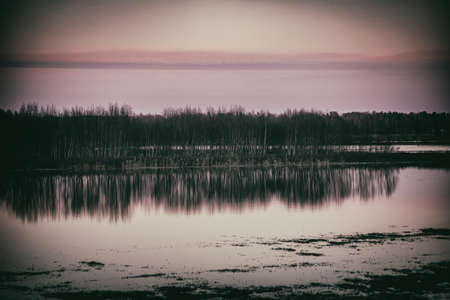 floods on meadow, reflection of small trees in flood water, pink, vintage colored sky in evening...