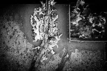 Grunge black and white texture vector. Place over any object create black grunge effect. Distress...