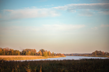 Bend of the river. The banks are covered with reeds, grass and forest. The autumn trees began to turn yellow. Blue sky with some clouds. Sunny day. Lielupe, Latviaの写真素材