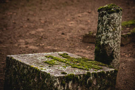 old abandoned cemetery in autumn. Broken tombstone with moss covered letters. Hand carved ancient granite column of graveplace fenceの写真素材