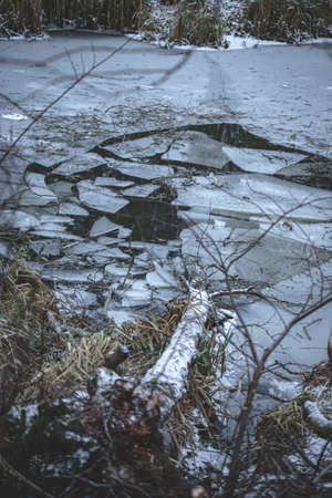 tree fallen on thin ice and broke it. Small pond in wild intact winter forest