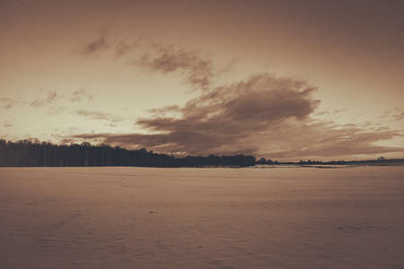 calm quiet monochrome sepia landscape with large snow covered field, forest in distance and beautiful cloud, Latviaの写真素材