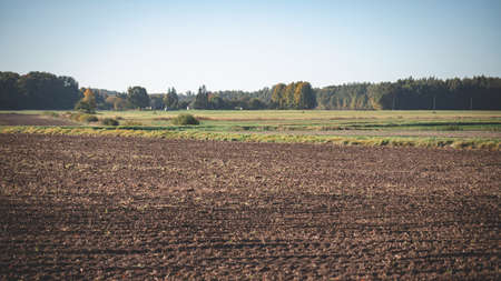 plowed agricultural field forest and green meadow in distanceの写真素材