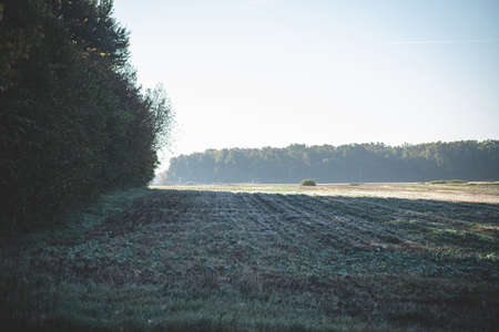 frost covered agricultural field near forest in autumn