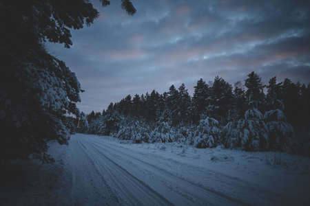 Snowy road in winter forest on blue sky background. Awesome winter landscape. A snow-covered path...
