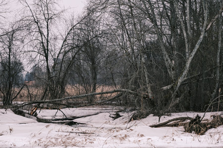 frozen countryside scene in winter with snow and ice - retro vintage effect