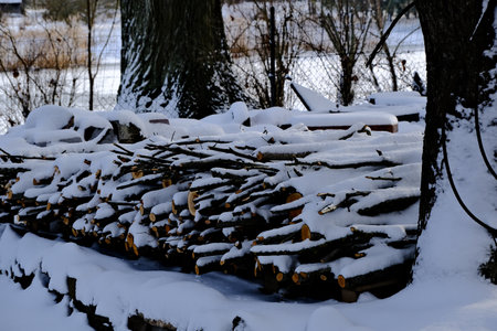 A pile of firewood under the snow on palletsの写真素材