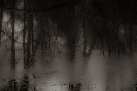 Reflection of trees in the water. Black and white background.の写真素材