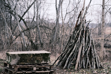 Camping in the woods. A wooden campfire in the forest.の写真素材