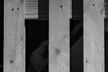 Black and white image of a wooden fence. Abstract background for design.の写真素材
