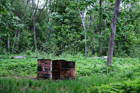 Old rusty oil barrels on the grass in the forest. Environmental pollution.の写真素材