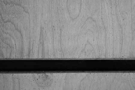 wooden texture. background old panels. black and white photo.の写真素材